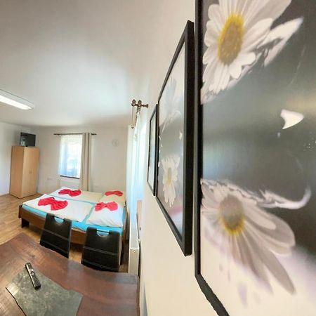 Apartment Nedrik Rokytnice nad Jizerou Ngoại thất bức ảnh