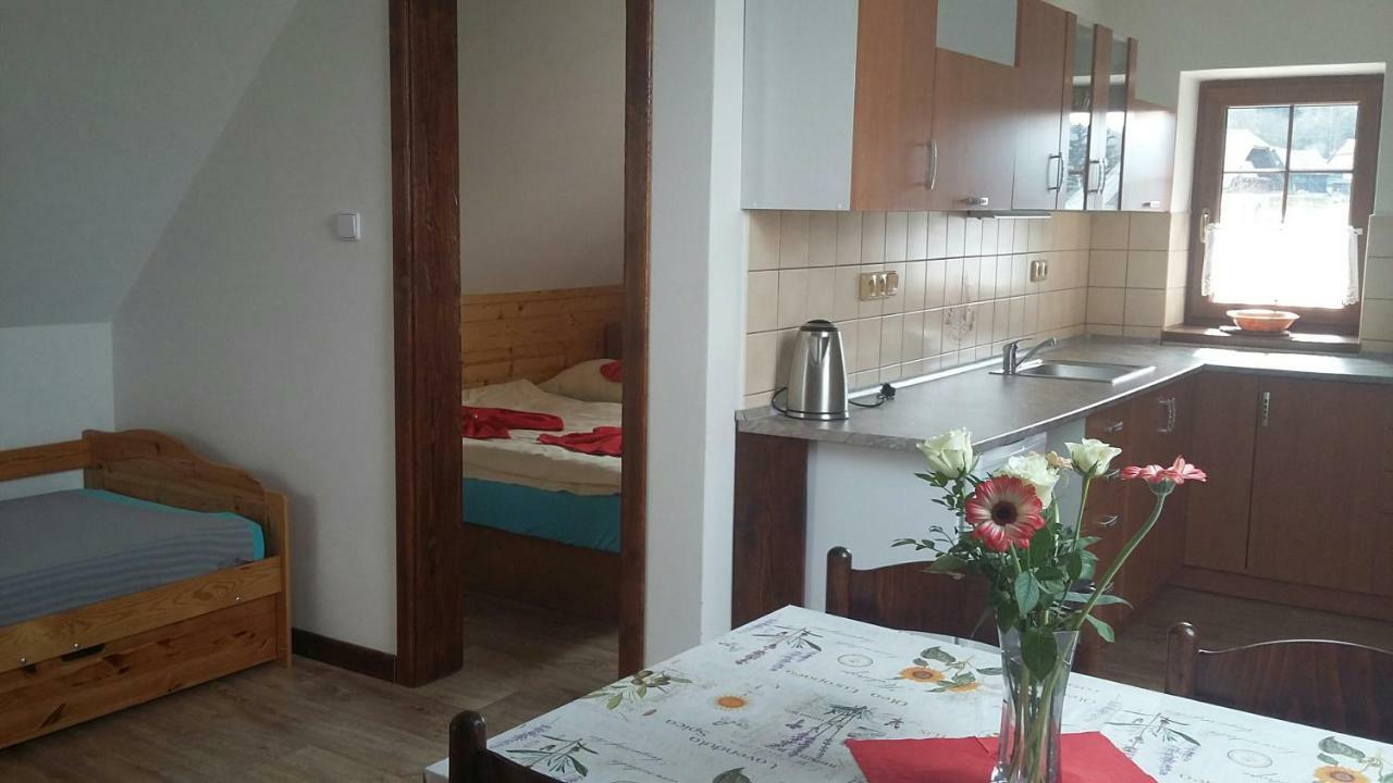 Apartment Nedrik Rokytnice nad Jizerou Ngoại thất bức ảnh